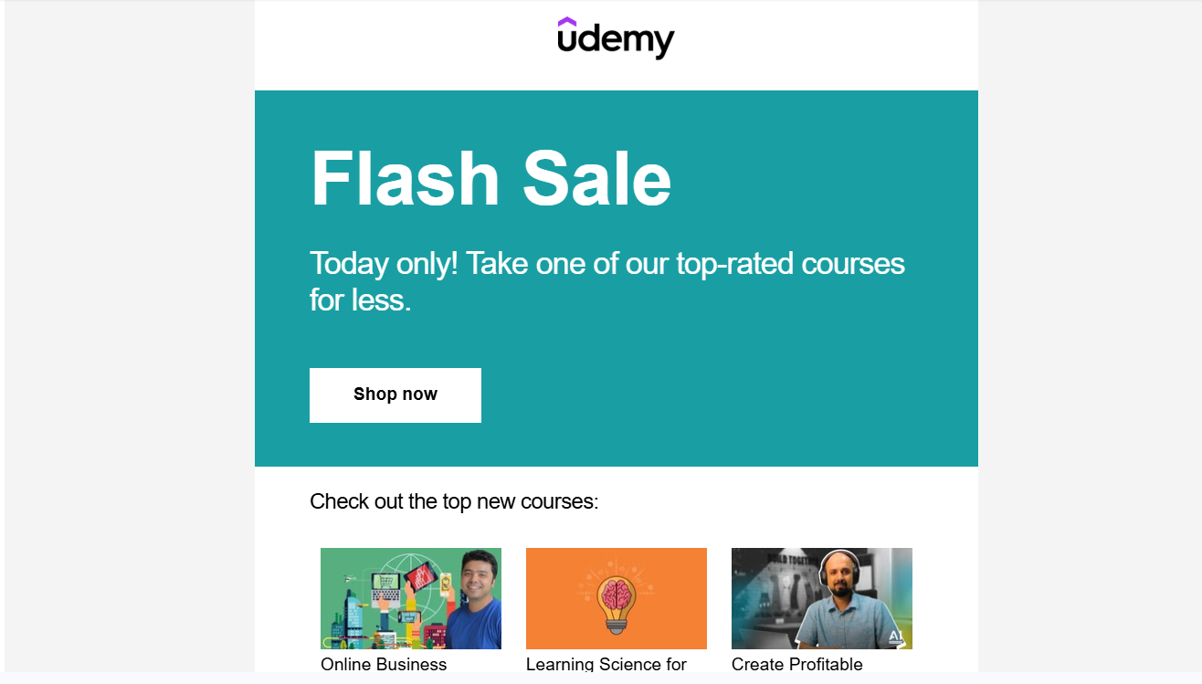 Udemy Email Marketing —  Flash Sale