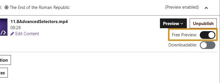 Udemy's Free Preview Option