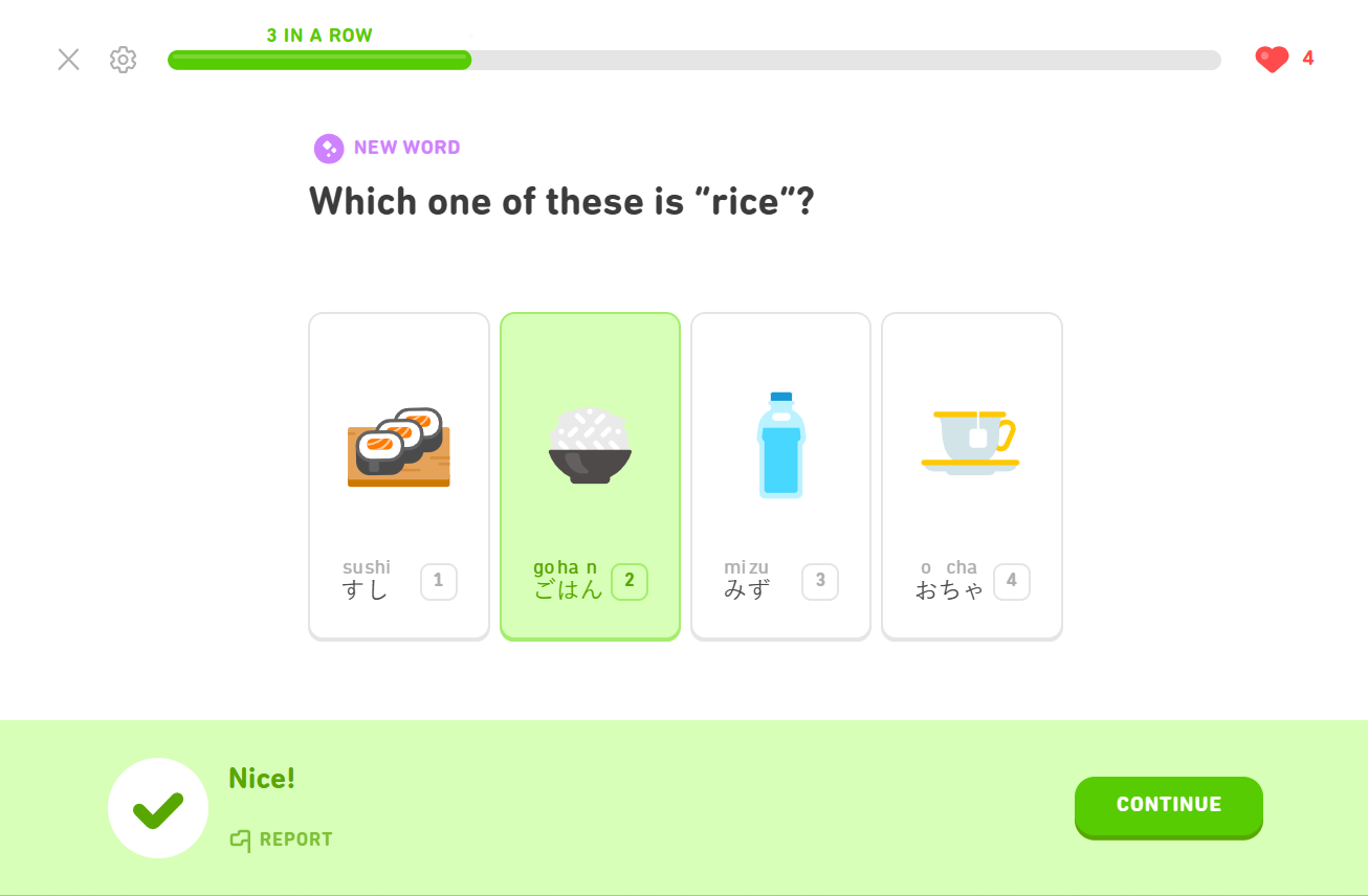 Duolingo gamification used to analyze student performance.
